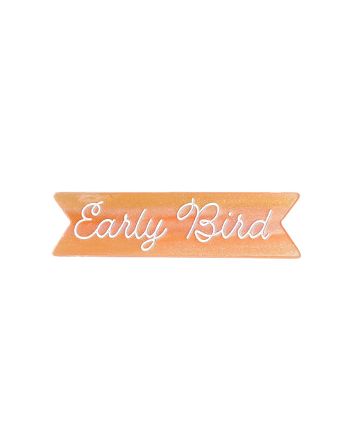Hair Clip – Early Bird