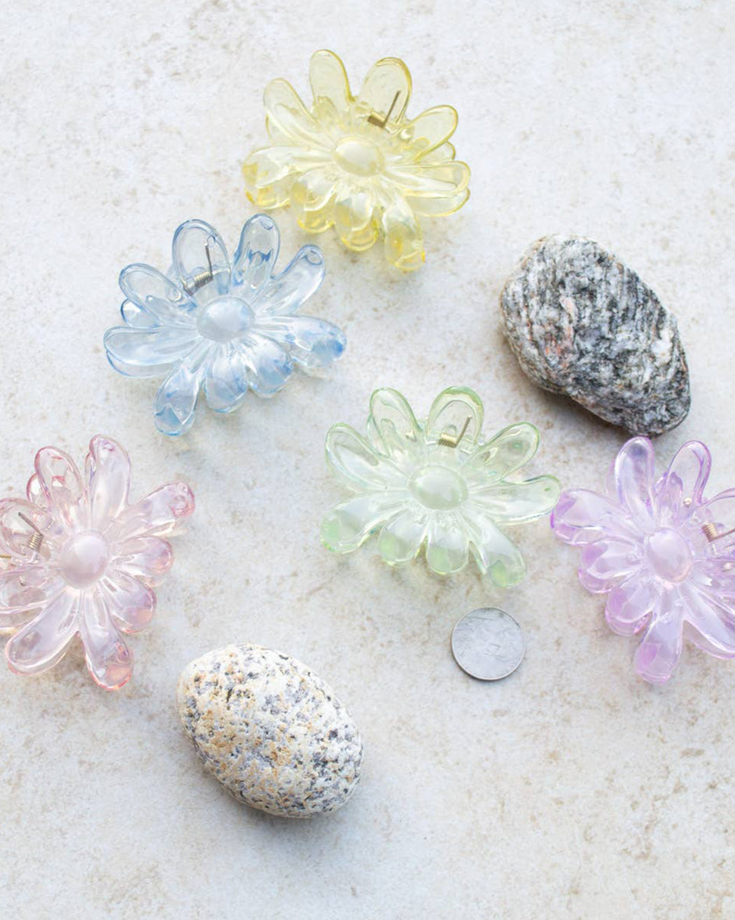 Clear Floral Hair Claw Clip – Assorted Colors